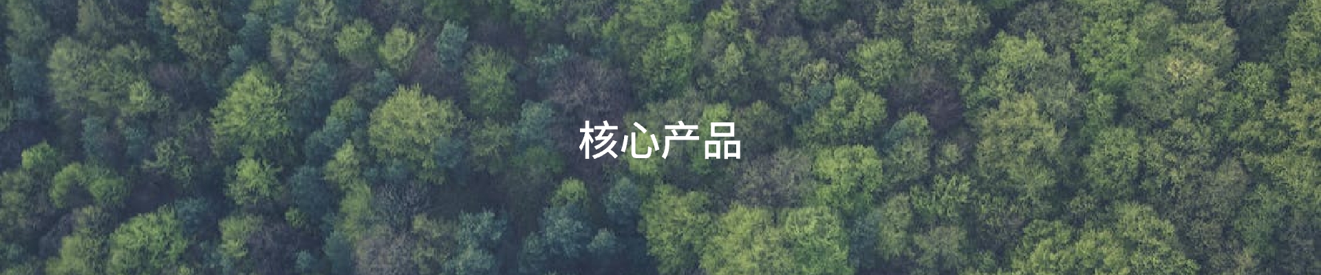 核心產品